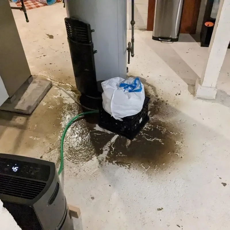 Sewage Backup Cleanup Service in Paramount, CA